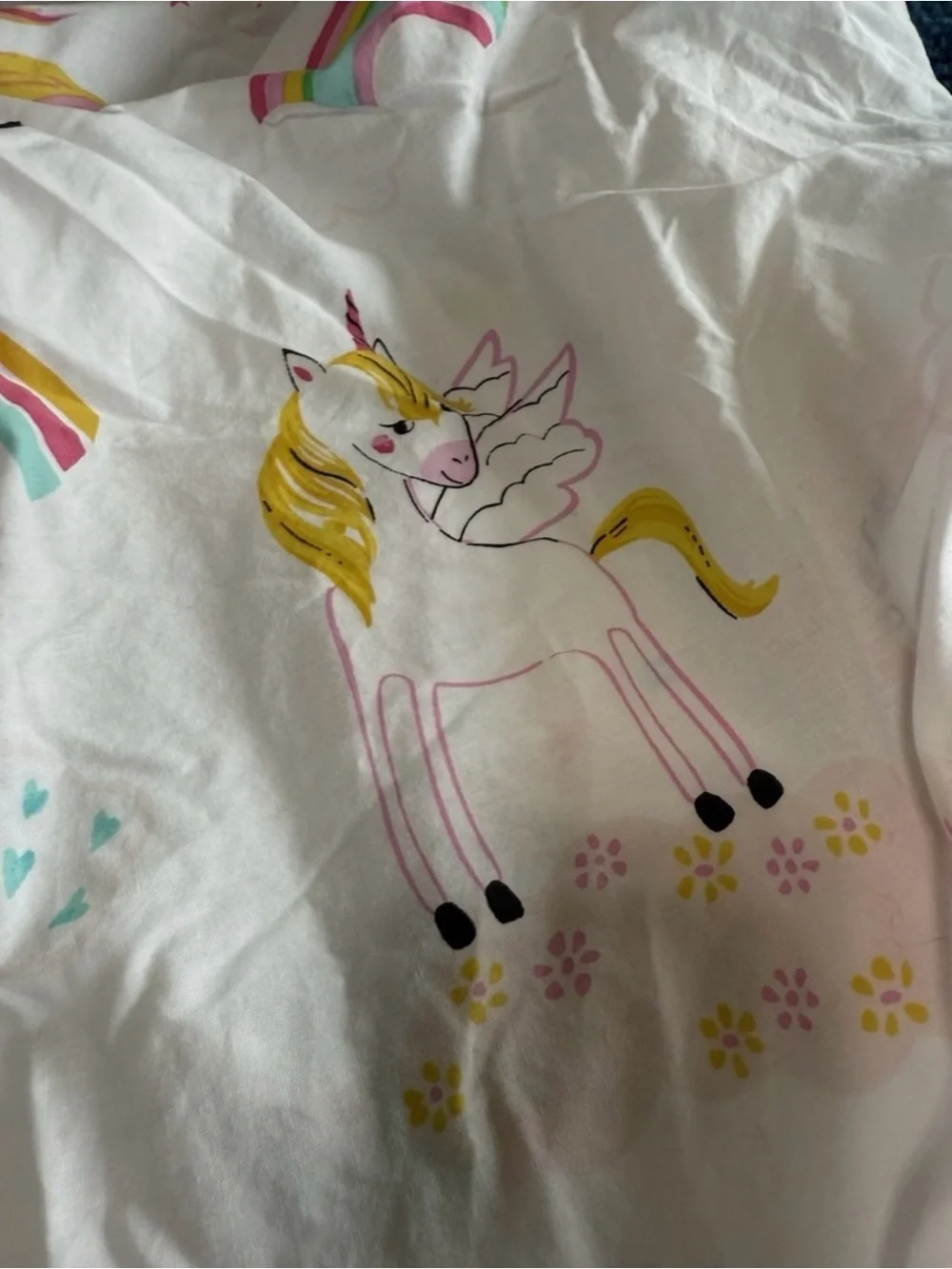 The Company Store Kids Duvet Cover and Pillowcase